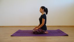 Posture seiza par la fée vedique. Posture de yoga et d'art martiaux pour la sérénité